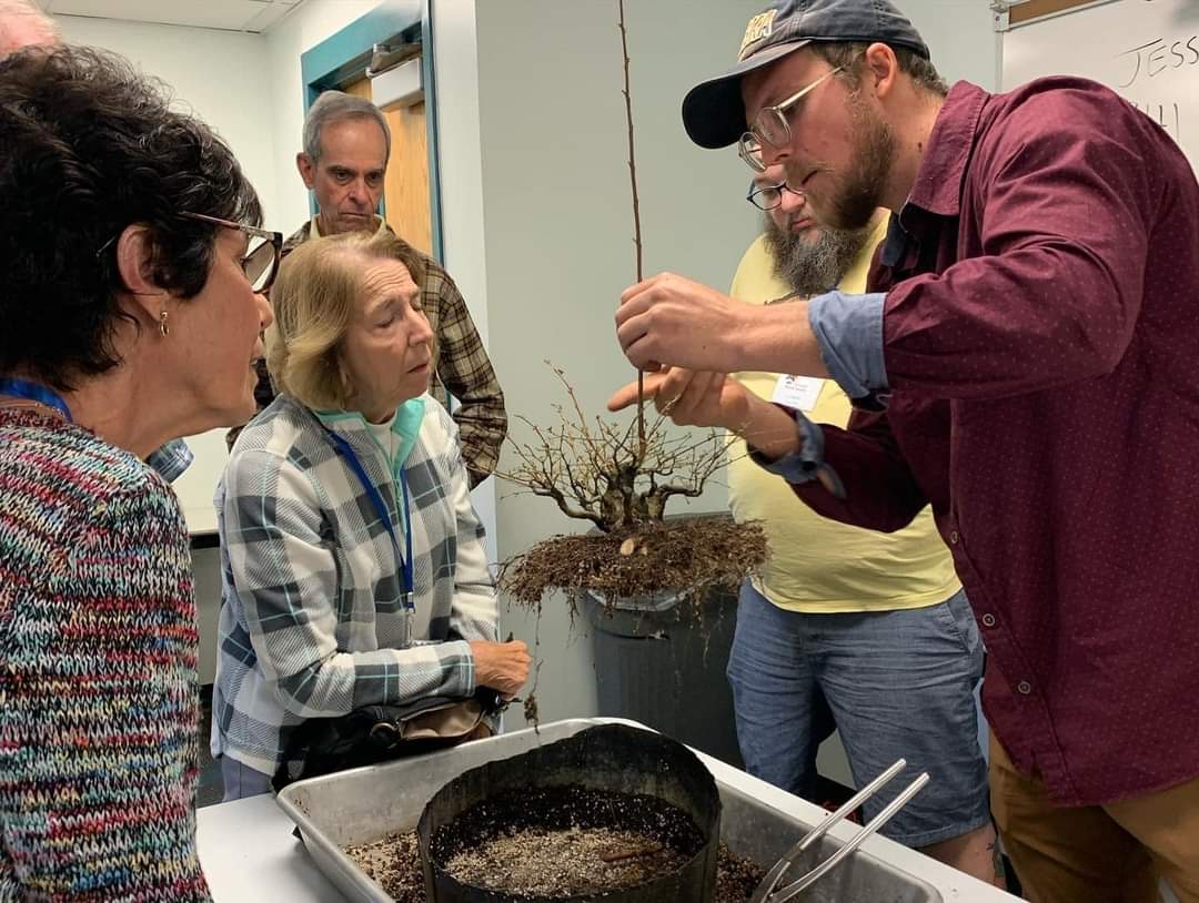 Bonsai Beginner's Class
